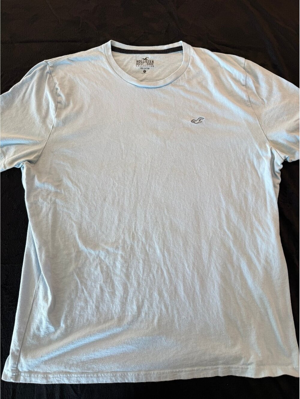 Hollister Must-Have Collection Light Blue T-Shirt Men's Size XL